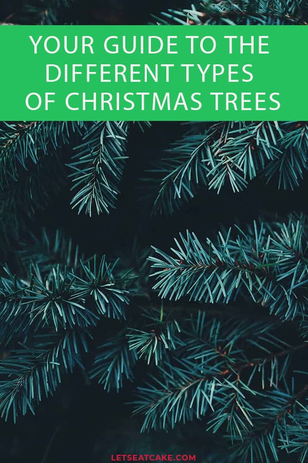 Types of Christmas Trees