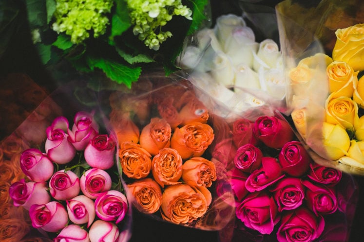 8 Rose Color Meanings So You Send the Right Message This Valentine’s Day