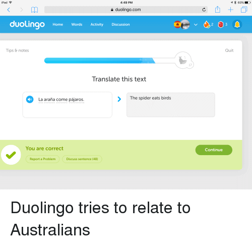 Duolingo Memes - duolingo spider bird