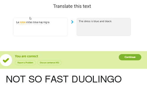 Duolingo Memes - dress black blue
