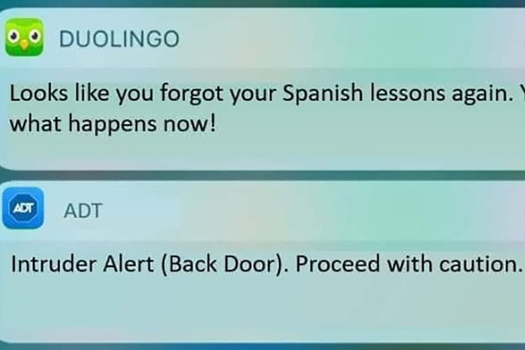 19 Duolingo Memes That Prove the Owl Is Out to Get You