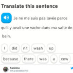 19 Duolingo Memes That Prove the Owl Is Out to Get You