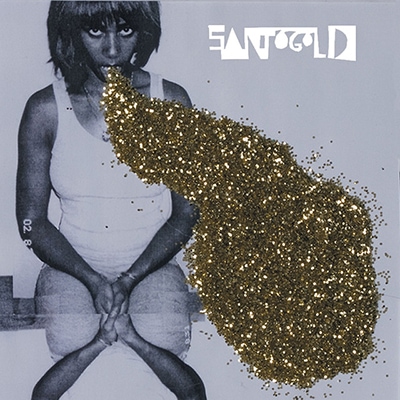 Best Vinyl Rock Albums - Santigold Santogold