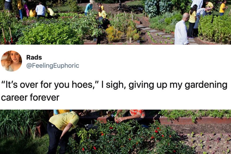 50 Funny Tweets from Women