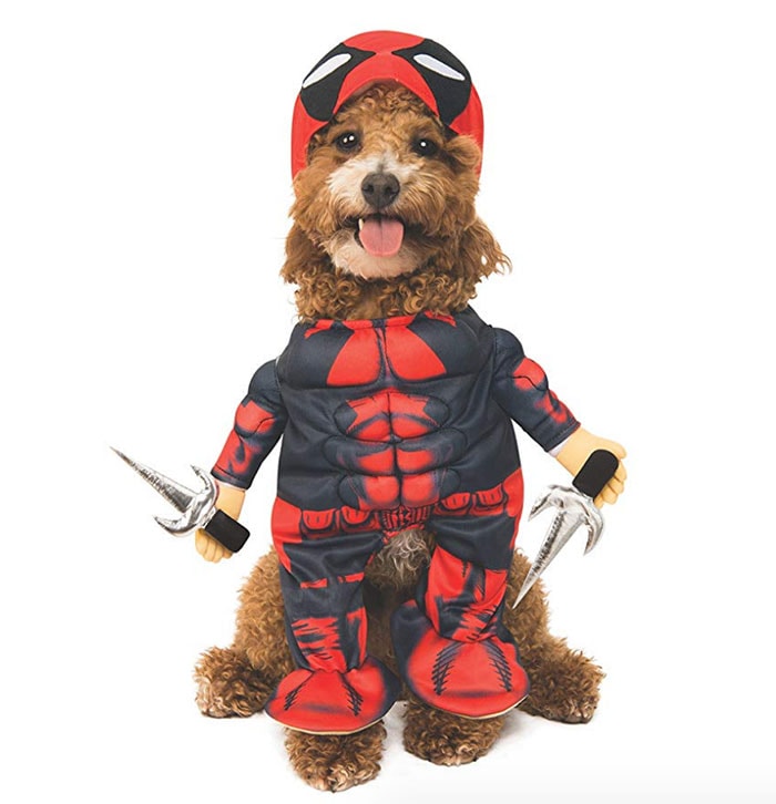 Funny Dog Costumes for Halloween - Deadpool