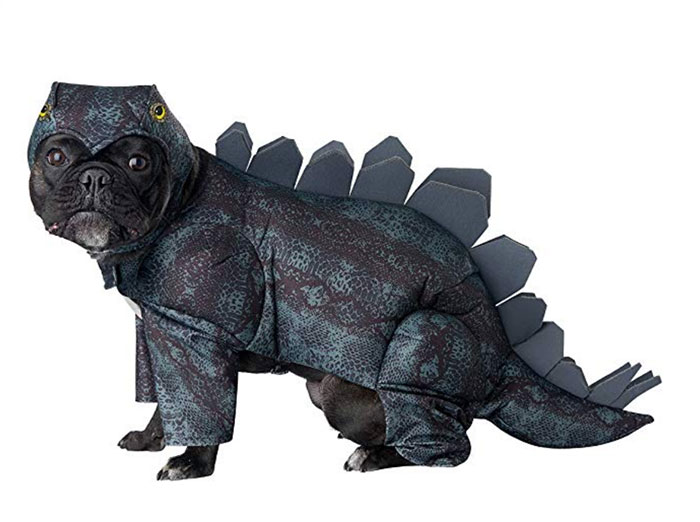 Funny Dog Costumes for Halloween - Dinosaur Stegosaurus