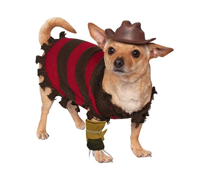 Funny Dog Costumes for Halloween - Freddy Krueger Nightmare Before Elm Street