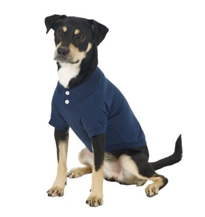 Funny Dog Costumes for Halloween - Polo Shirt Large