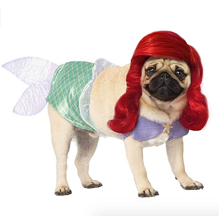 Funny Dog Costumes for Halloween - The Little Mermaid