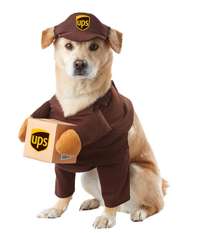 Funny Dog Costumes for Halloween - UPS Deliveryperson