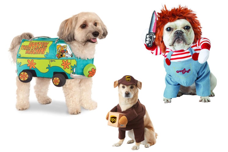15 Funny Dog Costumes That’ll Make Everyone Say Yep You’re a Crazy Dog Parent