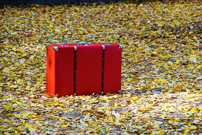 Lost Luggage - red bag on leaves