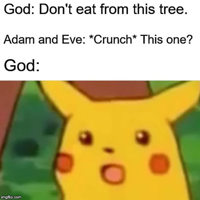 Pikachu Meme - Adam and Eve