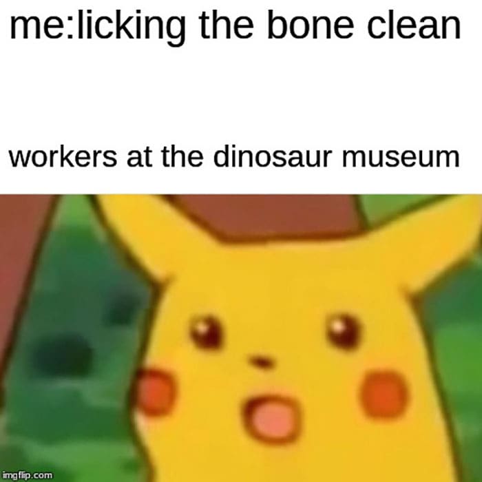 Pikachu Meme - Dinosaur Museum