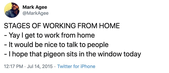 Working From Home Memes - Pigeon