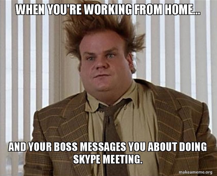 Working from Home Memes - Skype