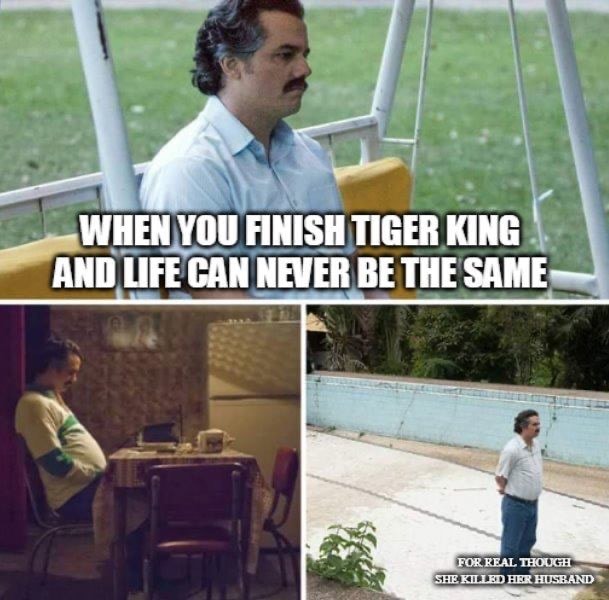 tiger king memes never the same