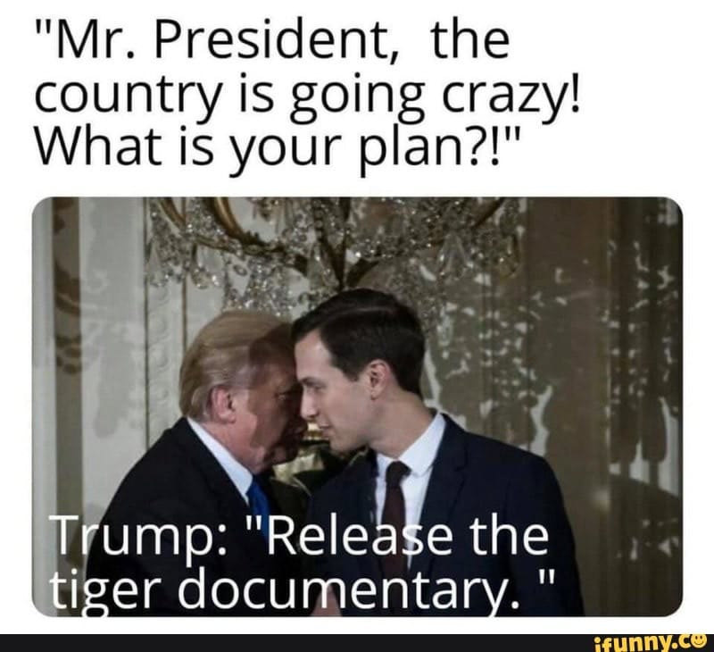 tiger king memes pandemic distraction