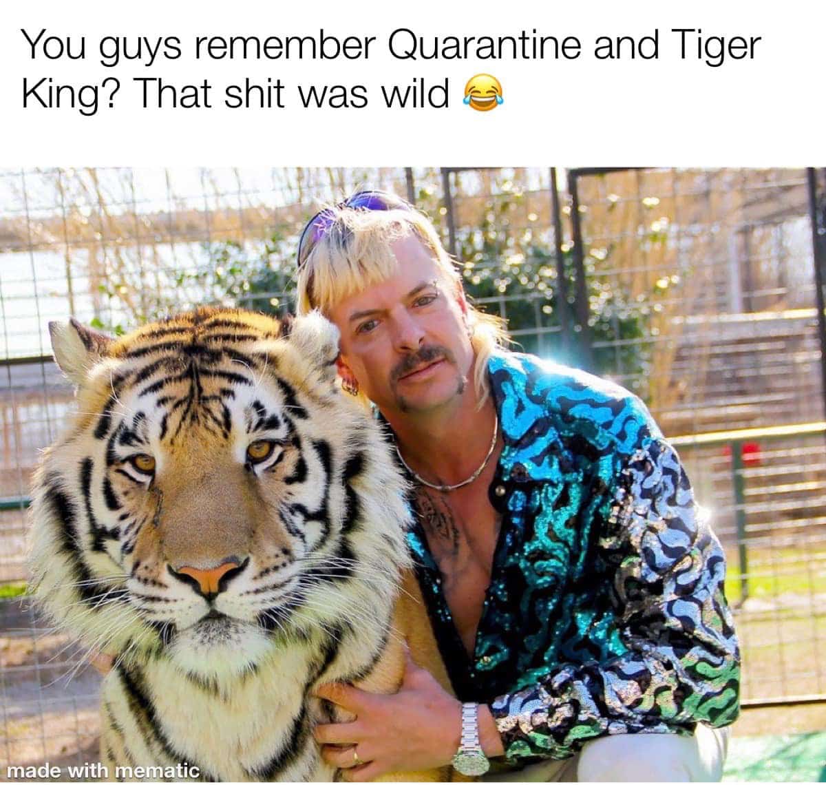 tiger king memes quarantine