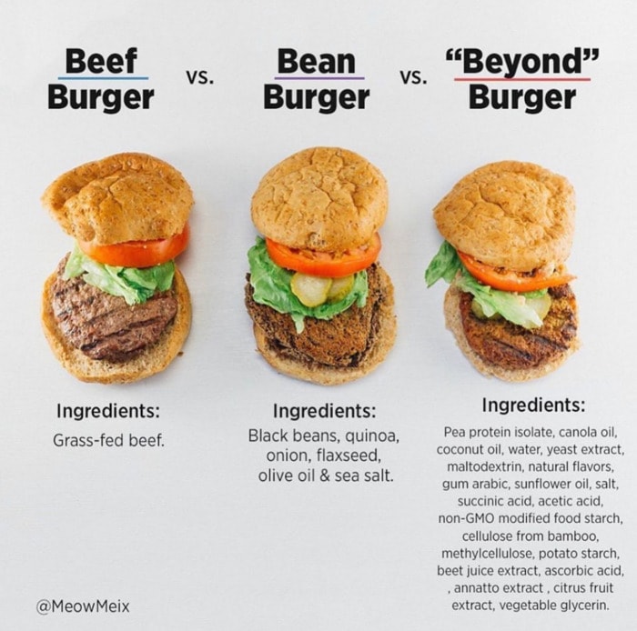 Healthy Food Charts - Burgers