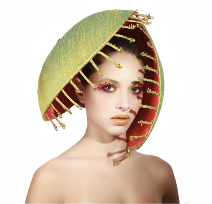 Silly Hats - Venus Fly Trap Hat