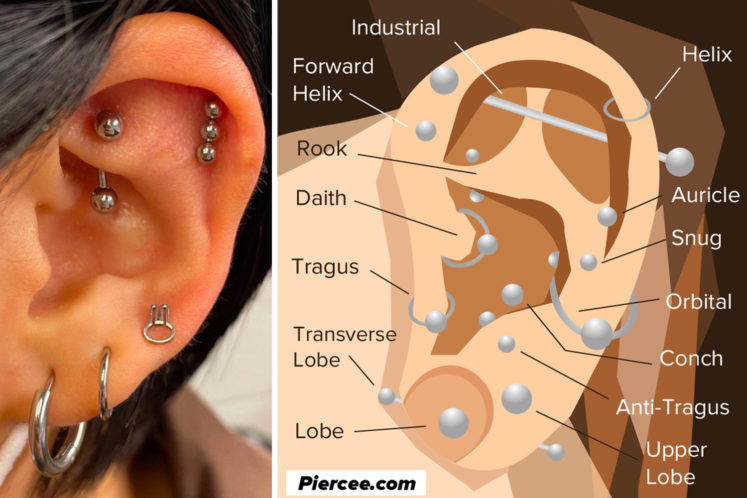 Your Guide to All Types of Ear Piercings