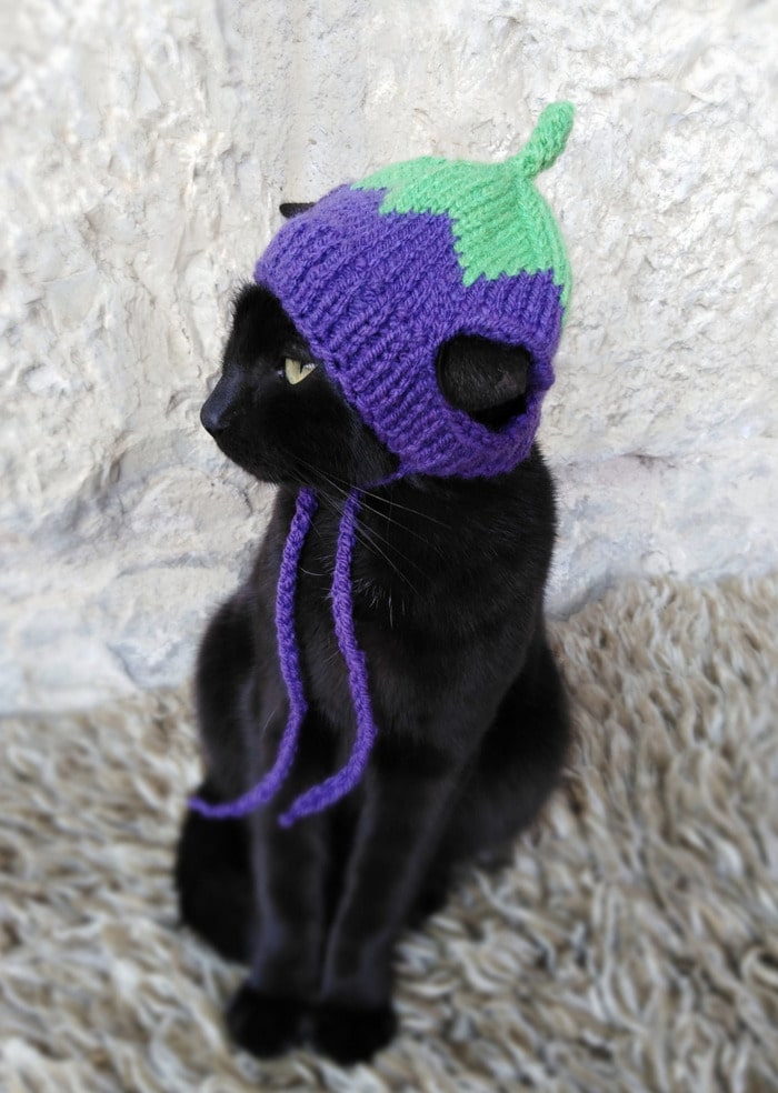 Cats Wearing Hats - Eggplant
