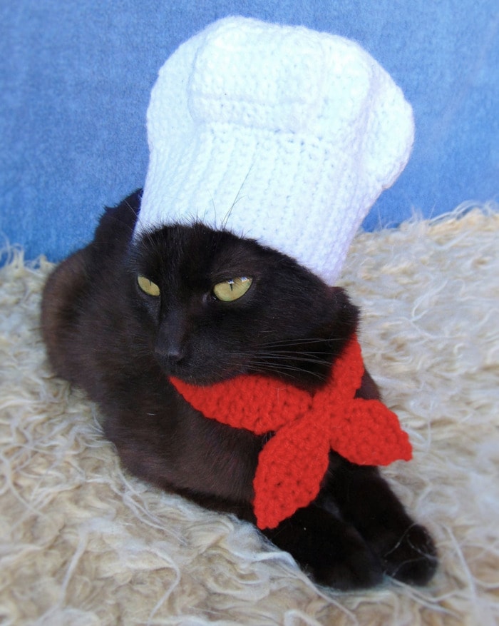 Cats Wearing Hats - French Chef