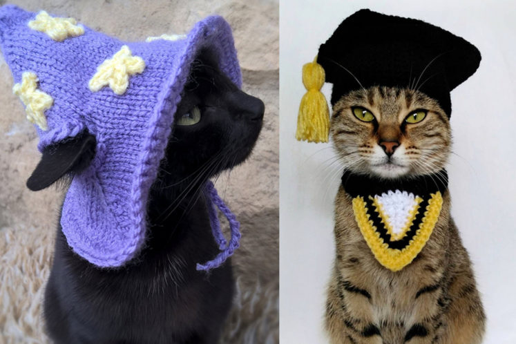 15 Pics of Judgmental Cats Wearing Hats