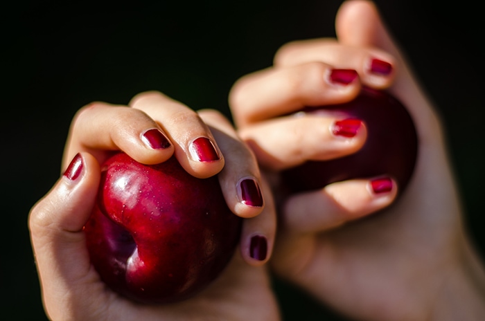 Fall Nail Colors - Hands HolFall Nail Colors - Hands Holding Apple with Red Nail Polish Onding Apple