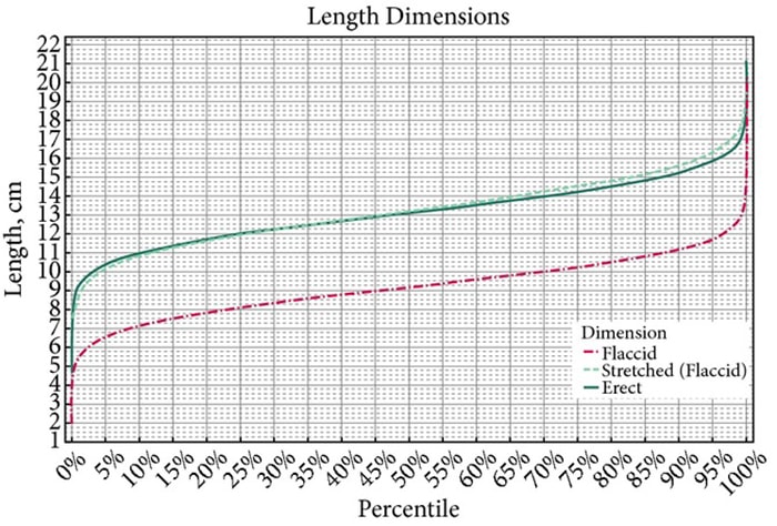 Average Girth Size - Length chart