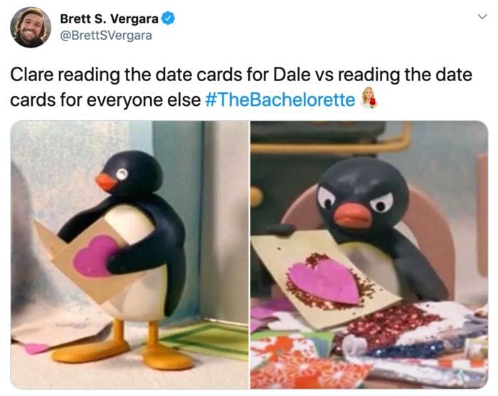 Bachelorette Memes - angry penguin