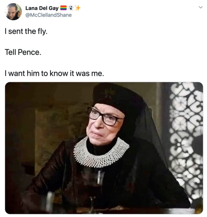 Fly Memes Mike Pence - RBG Game of Thrones