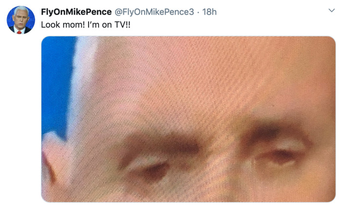 Fly Memes Mike Pence - on tv