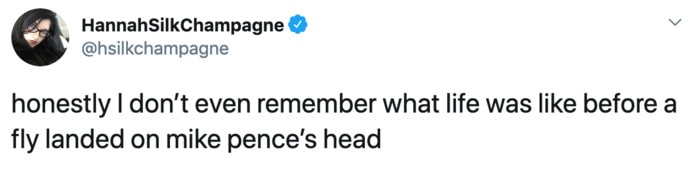 Fly Memes Mike Pence - VP Debate