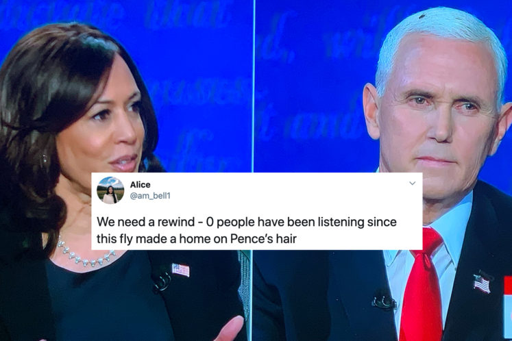 27 Pretty Fly Memes About the Unexpected Star of the VP Debate