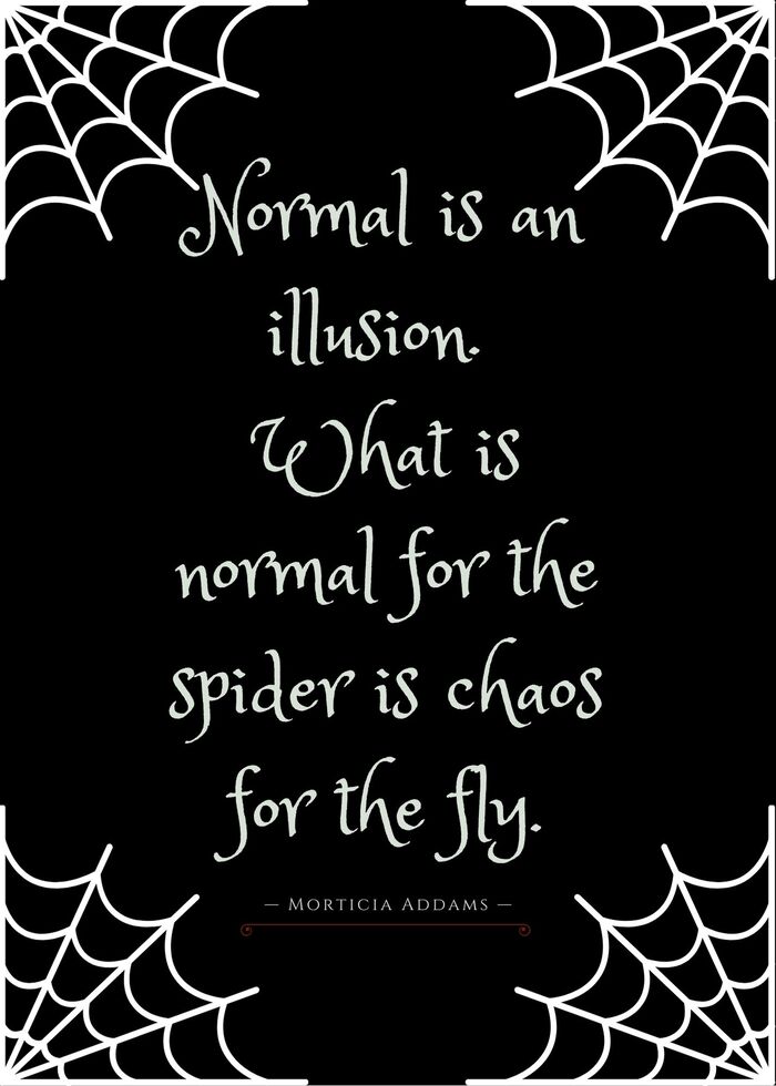 Morticia Addams Quotes - Normal is an illusion. What is normal for the spider is chaos for the fly.