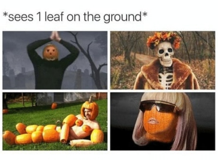 Pumpkin Memes - leaf