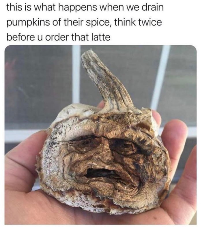 Pumpkin Memes - drained