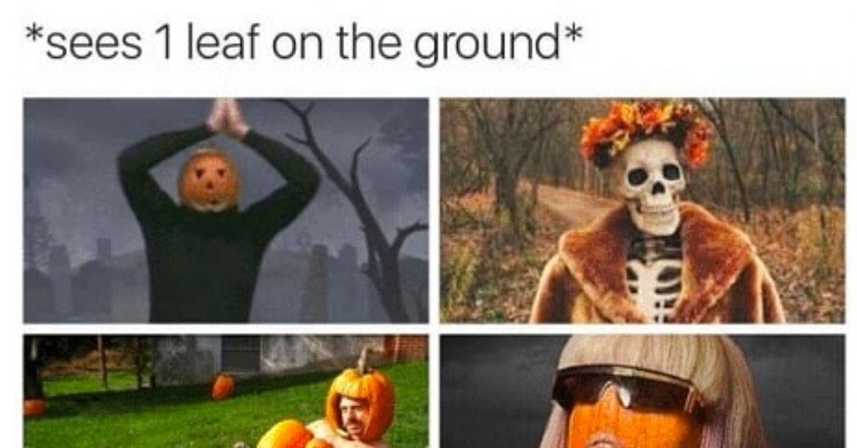 Pumpkin Memes