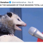 Four Seasons Total Landscaping Tweets - Opossum