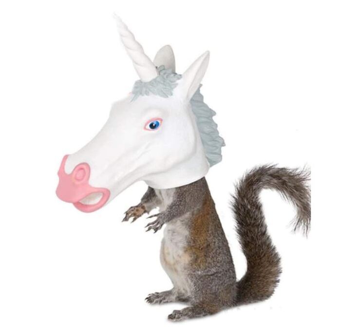 Cheap Gift Ideas - Unicorn Squirrel Feeder
