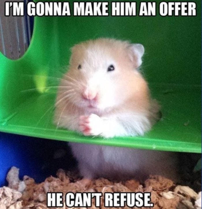 Hamster - Offer He Can't Refuse