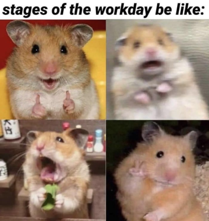 Scared Hamster Workday Stages