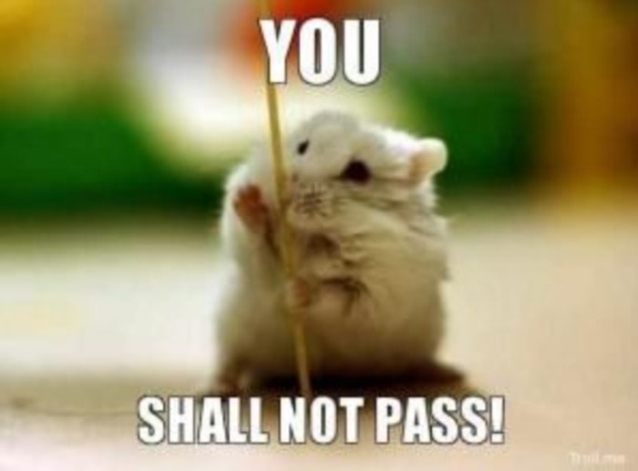 Hamster You Shall Not Pass