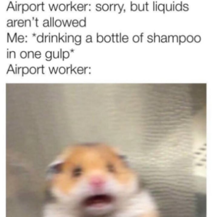 Scared Hamster - Airport
