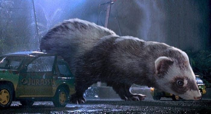 Jurassic Park Dinosaurs Replaced By Ferrets - T Rex