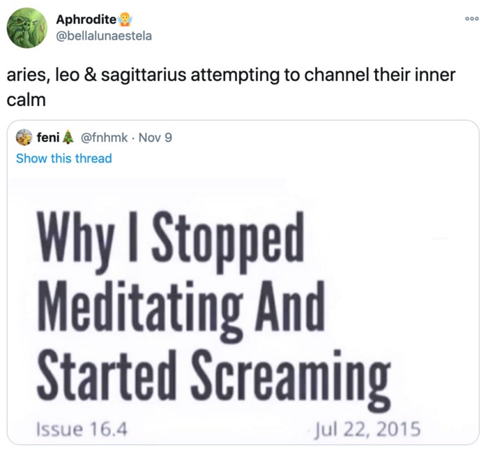 Sagittarius Memes - meditation