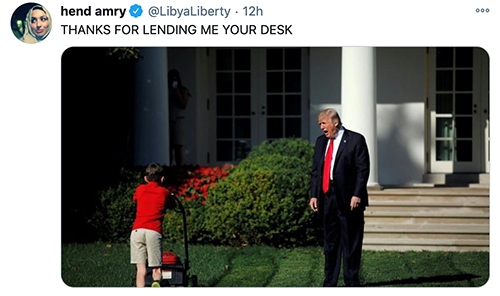 Trump Tiny Desk - Lawnmower