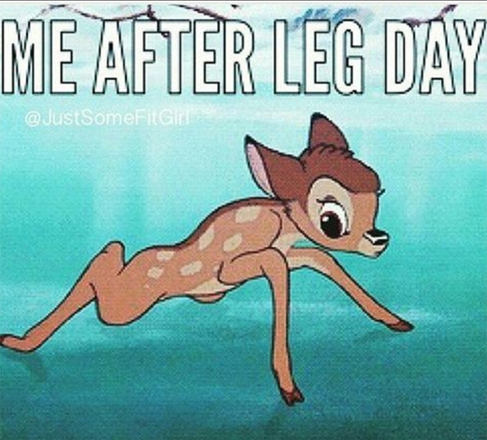 Funny Workout Memes - Bambi on Ice